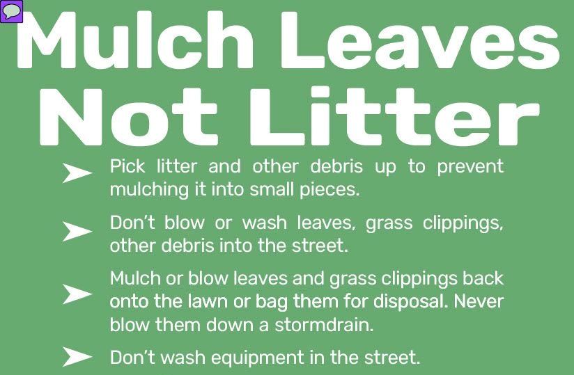 Watering Best Practices